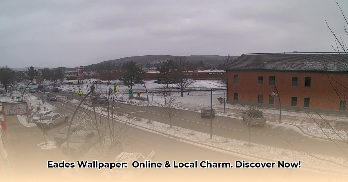 eades-wallpaper-olean-ny